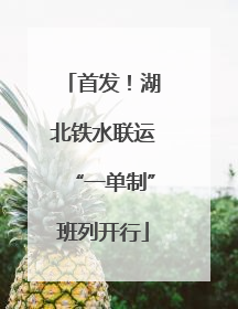首发！湖北铁水联运“一单制”班列开行