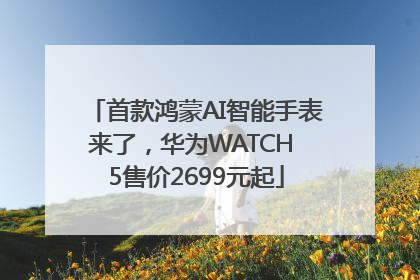 首款鸿蒙AI智能手表来了，华为WATCH 5售价2699元起