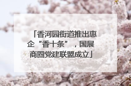 香河园街道推出惠企“香十条”，国展商圈党建联盟成立