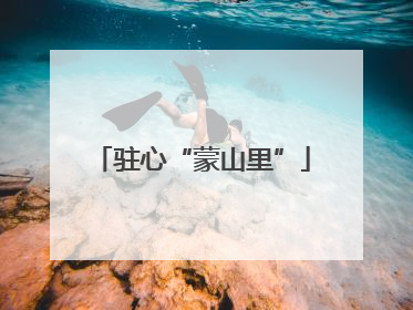 驻心“蒙山里”