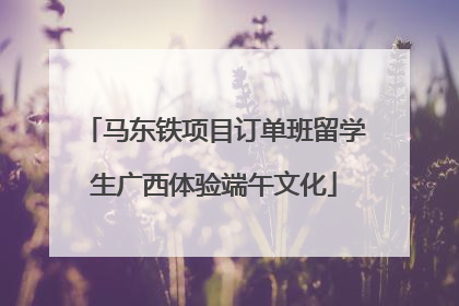 马东铁项目订单班留学生广西体验端午文化