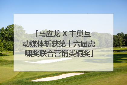 马应龙 X 丰巢互动媒体斩获第十六届虎啸奖联合营销类铜奖