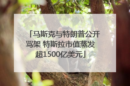 马斯克与特朗普公开骂架 特斯拉市值蒸发超1500亿美元