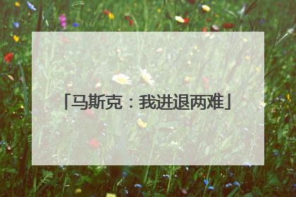 马斯克：我进退两难