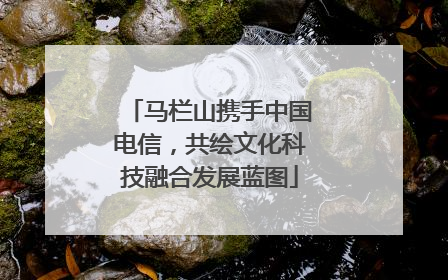马栏山携手中国电信，共绘文化科技融合发展蓝图