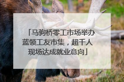马驹桥零工市场举办蓝领工友市集，超千人现场达成就业意向
