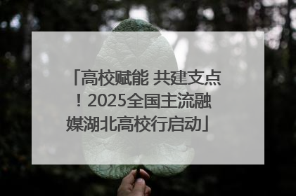 高校赋能 共建支点！2025全国主流融媒湖北高校行启动