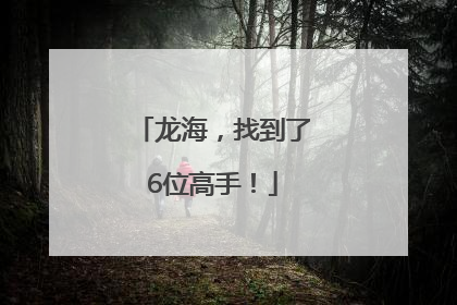 龙海，找到了6位高手！