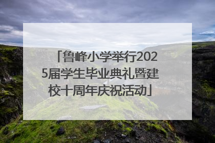 鲁峰小学举行2025届学生毕业典礼暨建校十周年庆祝活动