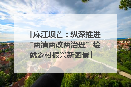 麻江坝芒：纵深推进“两清两改两治理”绘就乡村振兴新图景