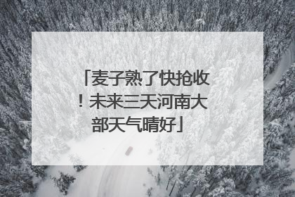 麦子熟了快抢收！未来三天河南大部天气晴好