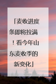 麦收进度条即将拉满！看今年山东麦收季的新变化