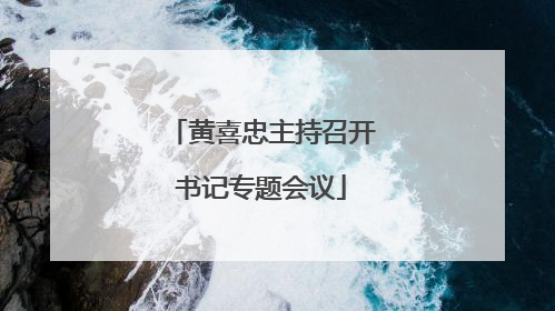 黄喜忠主持召开书记专题会议