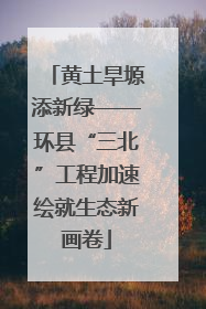 黄土旱塬添新绿——环县“三北”工程加速绘就生态新画卷