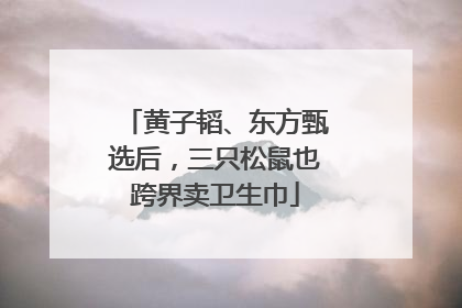 黄子韬、东方甄选后，三只松鼠也跨界卖卫生巾