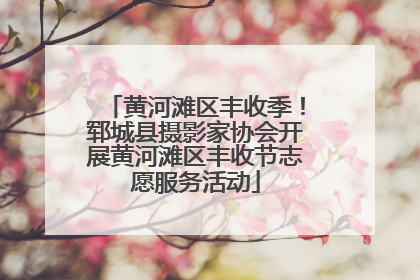 黄河滩区丰收季！郓城县摄影家协会开展黄河滩区丰收节志愿服务活动