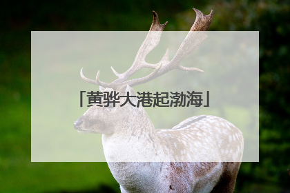 黄骅大港起渤海