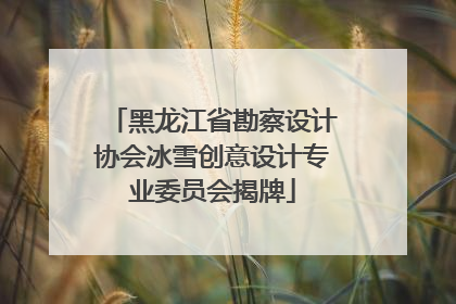 黑龙江省勘察设计协会冰雪创意设计专业委员会揭牌