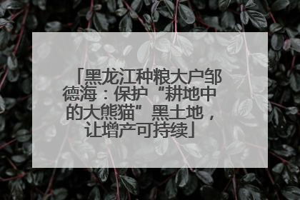 黑龙江种粮大户邹德海：保护“耕地中的大熊猫”黑土地，让增产可持续