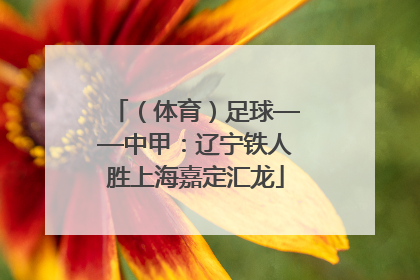 （体育）足球——中甲：辽宁铁人胜上海嘉定汇龙