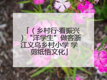 （乡村行·看振兴）“洋学生”做客浙江义乌乡村小学 学剪纸悟文化