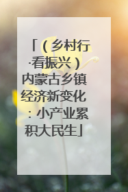 （乡村行·看振兴）内蒙古乡镇经济新变化：小产业累积大民生