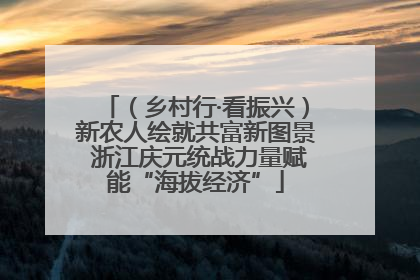 （乡村行·看振兴）新农人绘就共富新图景 浙江庆元统战力量赋能“海拔经济”