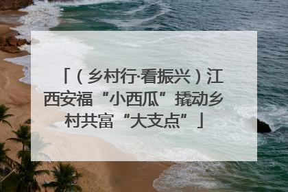 （乡村行·看振兴）江西安福“小西瓜”撬动乡村共富“大支点”