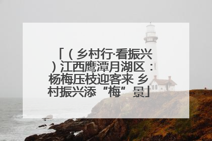 （乡村行·看振兴）江西鹰潭月湖区：杨梅压枝迎客来 乡村振兴添“梅”景