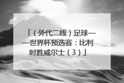 （外代二线）足球——世界杯预选赛：比利时胜威尔士（3）