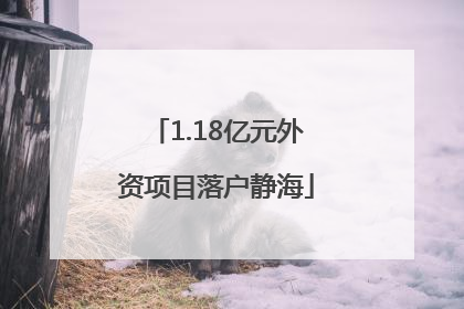 1.18亿元外资项目落户静海