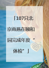 107只北京雨燕在颐和园完成年度“体检”