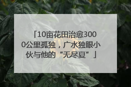10亩花田治愈3000公里孤独，广水独眼小伙与他的“无尽夏”