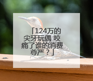 124万的尖牙玩偶 咬痛了谁的消费尊严？