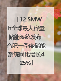 12.5MWh全球最大容量储能系统发布 合肥一季度储能系统同比增长425%