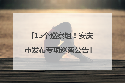 15个巡察组！安庆市发布专项巡察公告