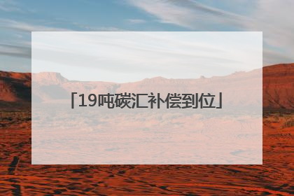 19吨碳汇补偿到位