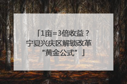 1亩=3倍收益？宁夏兴庆区解锁改革“黄金公式”