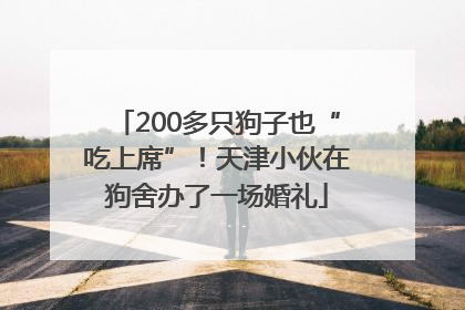 200多只狗子也“吃上席”！天津小伙在狗舍办了一场婚礼