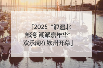 2025“浪漫北部湾 潮派嘉年华”欢乐周在钦州开幕