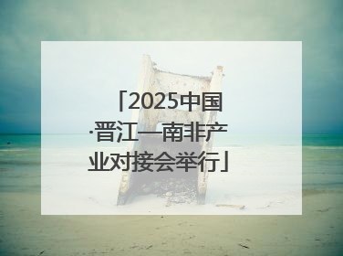 2025中国·晋江—南非产业对接会举行