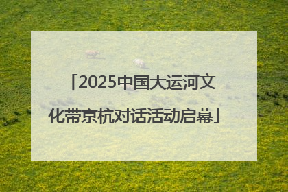 2025中国大运河文化带京杭对话活动启幕