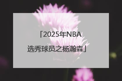 2025年NBA选秀球员之杨瀚森