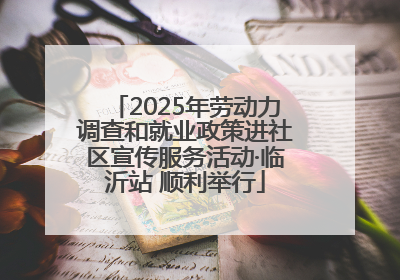 2025年劳动力调查和就业政策进社区宣传服务活动·临沂站 顺利举行