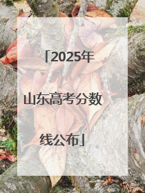 2025年山东高考分数线公布