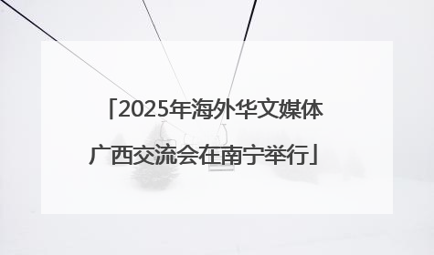 2025年海外华文媒体广西交流会在南宁举行
