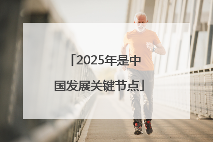 2025年是中国发展关键节点