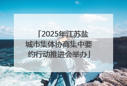 2025年江苏盐城市集体协商集中要约行动推进会举办