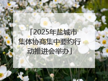 2025年盐城市集体协商集中要约行动推进会举办