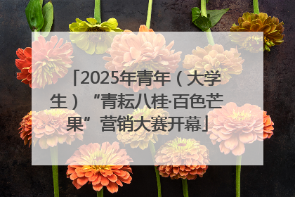 2025年青年（大学生）“青耘八桂·百色芒果”营销大赛开幕